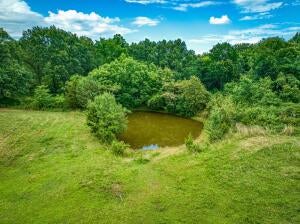 Harrison, Arkansas, 72601, United States, ,5 BathroomsBathrooms,Residential,Active,1769570