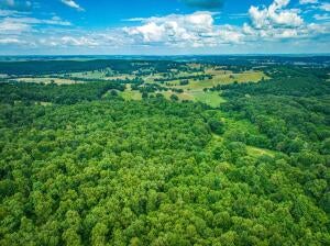 Harrison, Arkansas, 72601, United States, ,5 BathroomsBathrooms,Residential,Active,1769726