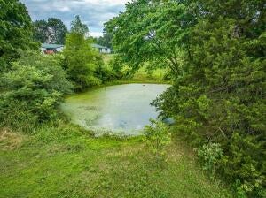 Harrison, Arkansas, 72601, United States, ,5 BathroomsBathrooms,Residential,Active,1769342