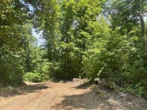 TRACT 11 TERRAPIN ROAD, HARRISON, AR 72601 - Image 1