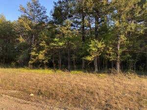 W GREENWOOD DRIVE, DIAMOND CITY, AR 72644 - Image 1