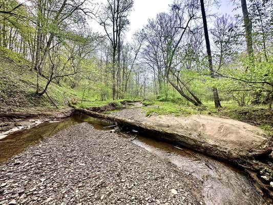 INDIAN CREEK RD, REEDSVILLE OH 45772, REEDSVILLE, OH 45772 - Image 1