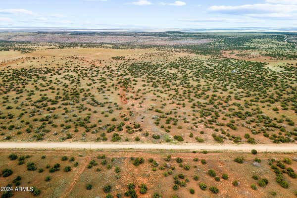 TBD 202-28-002 COUNTY ROAD 6040 ROAD # 2, ST JOHNS, AZ 85936 - Image 1