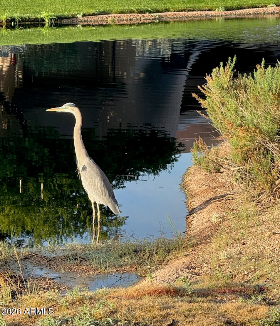 Scottsdale, Arizona, 85266, United States, 4 Bedrooms Bedrooms, ,4 BathroomsBathrooms,Residential,Active,1945843