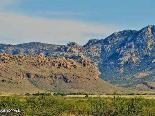 THREE TRIANGLES RANCH 41 ACRES # 37, PORTAL, AZ 85632, photo 5 of 14