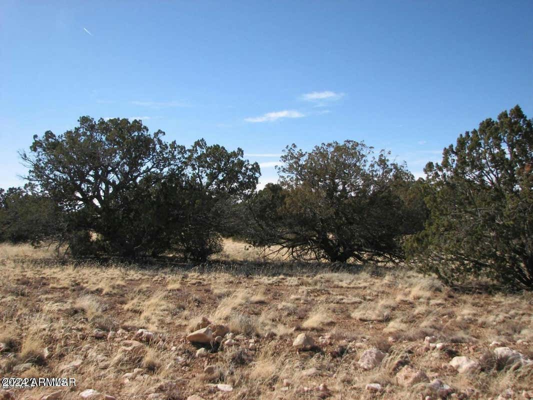 LOT 338 CHEVELON CANYON RANCH # 338, HEBER, AZ 85928, photo 1 of 4