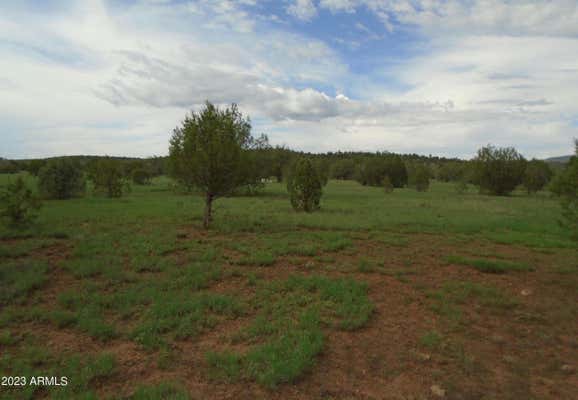 1802 W CUMBERLAND RD, WILLIAMS, AZ 86046, photo 3 of 7