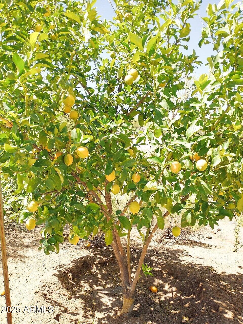 Scottsdale, Arizona, 85262, United States, 4 Bedrooms Bedrooms, ,2 BathroomsBathrooms,Residential,Active,1964487