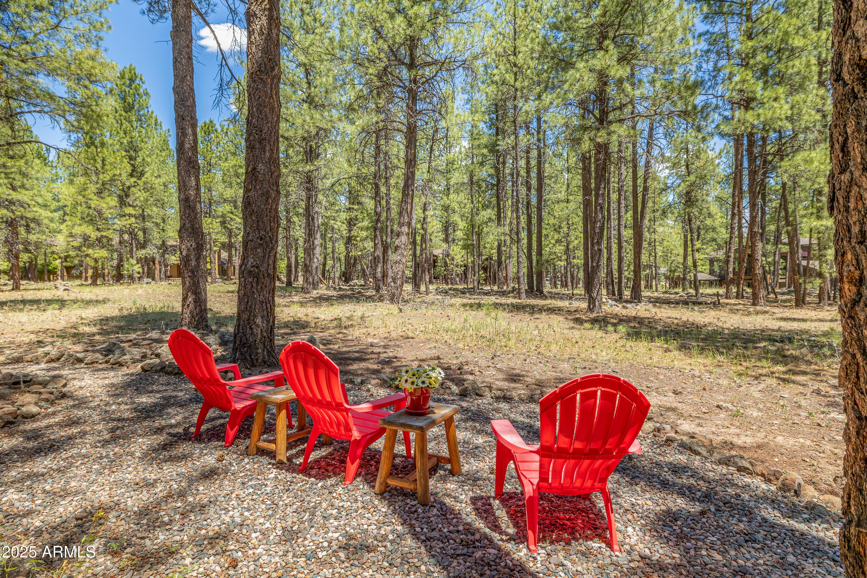 Flagstaff, Arizona, 86005, United States, 4 Bedrooms Bedrooms, ,4 BathroomsBathrooms,Residential,Active,1905472