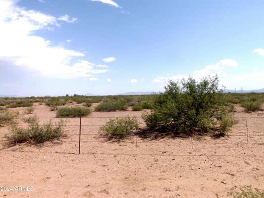 TBD W DOUBLE ADOBE ROAD, MCNEAL, AZ 85617 - Image 1