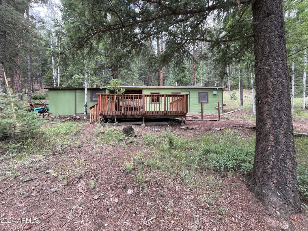 6 COUNTY ROAD 1006, GREER, AZ 85927, photo 1 of 33