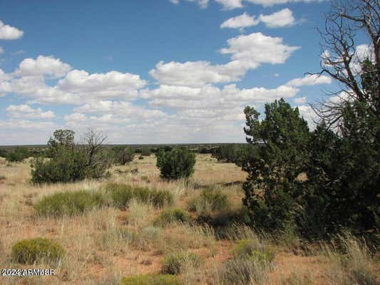 LOT 338 CHEVELON CANYON RANCH # 338, HEBER, AZ 85928, photo 3 of 4