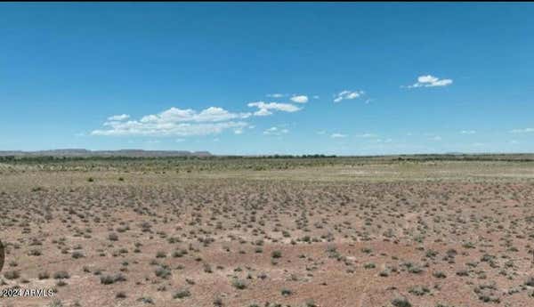 TBD PAINTED DESERT RANCHES, HOLBROOK, AZ 86025 - Image 1