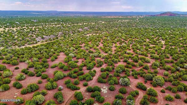 LOT F SILVER LAKE BLVD 48.86 ACRES, SHOW LOW, AZ 85901, photo 5 of 14