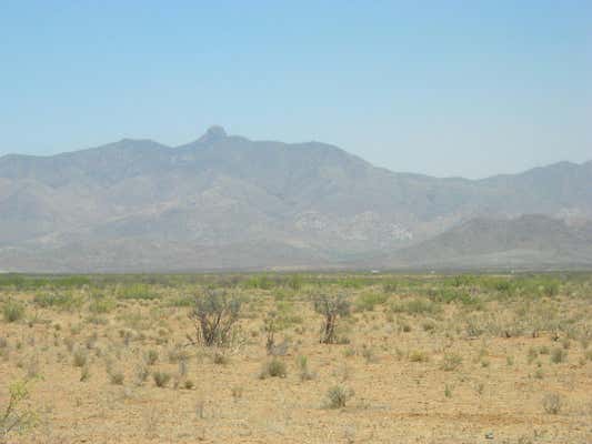 5700 E ARZBERGER RD # 161, WILLCOX, AZ 85643 - Image 1