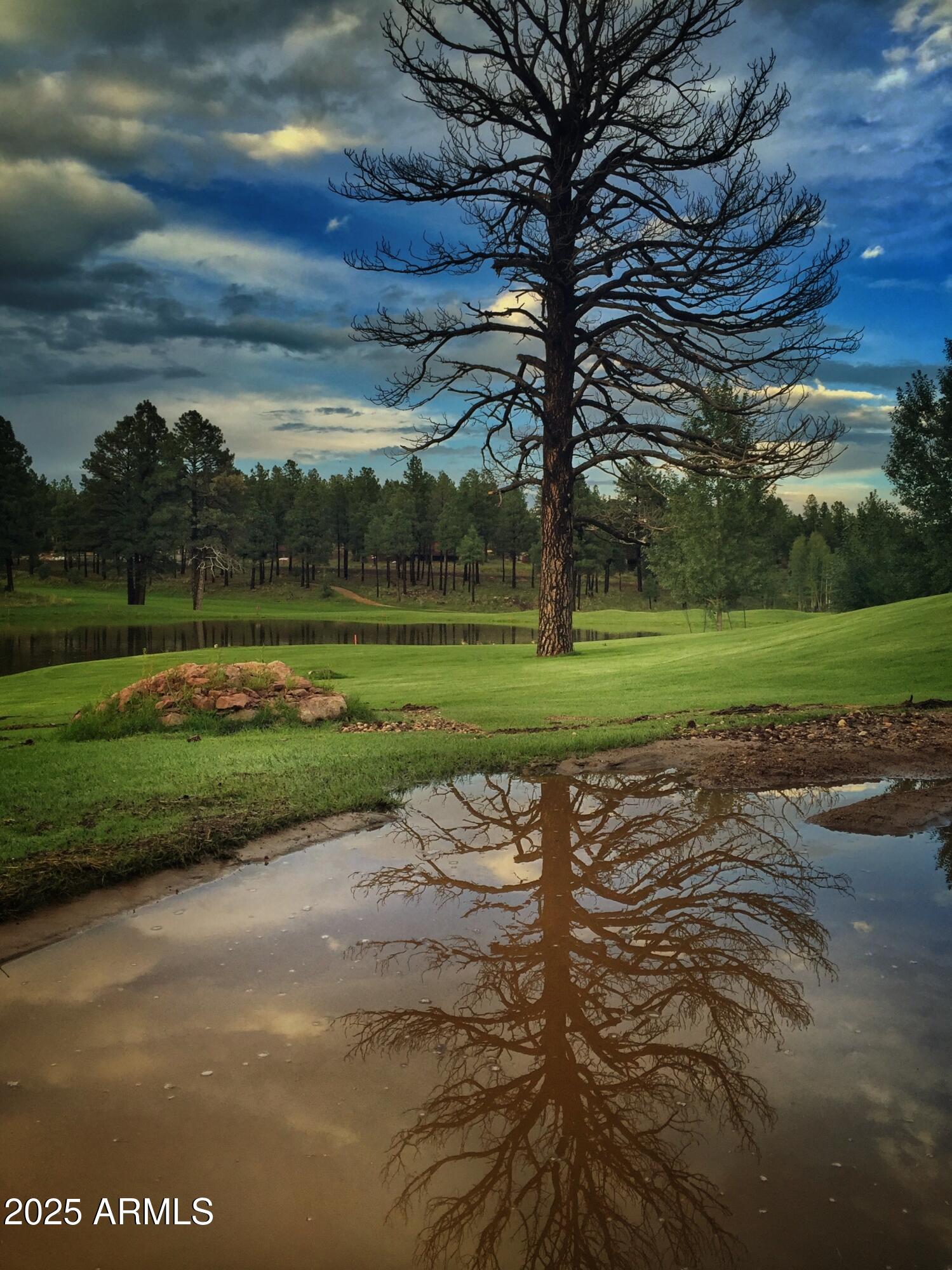 Flagstaff, Arizona, 86005, United States, 4 Bedrooms Bedrooms, ,5 BathroomsBathrooms,Residential,Active,2009813
