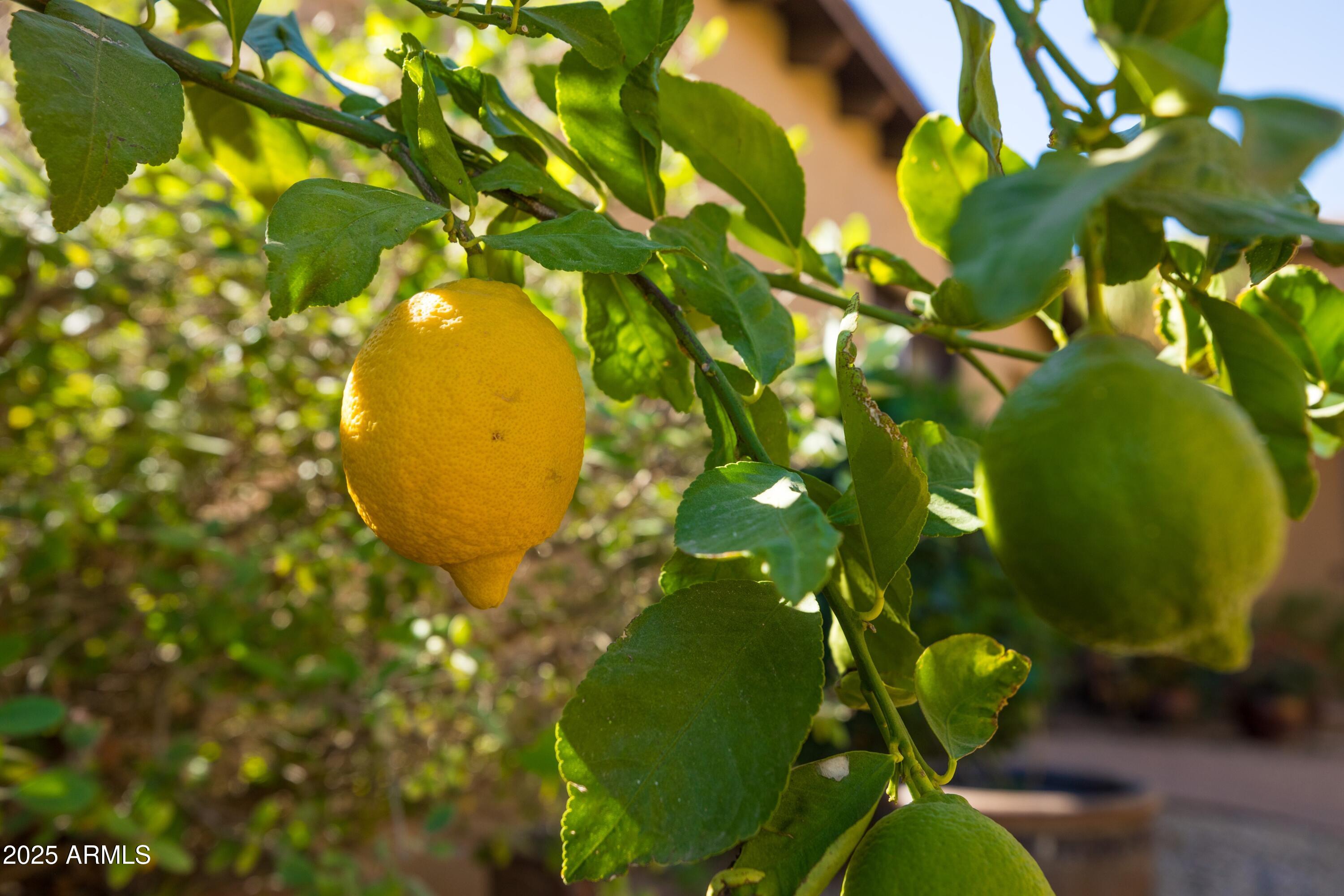 Scottsdale, Arizona, 85262, United States, 4 Bedrooms Bedrooms, ,4 BathroomsBathrooms,Residential,Active,1990617