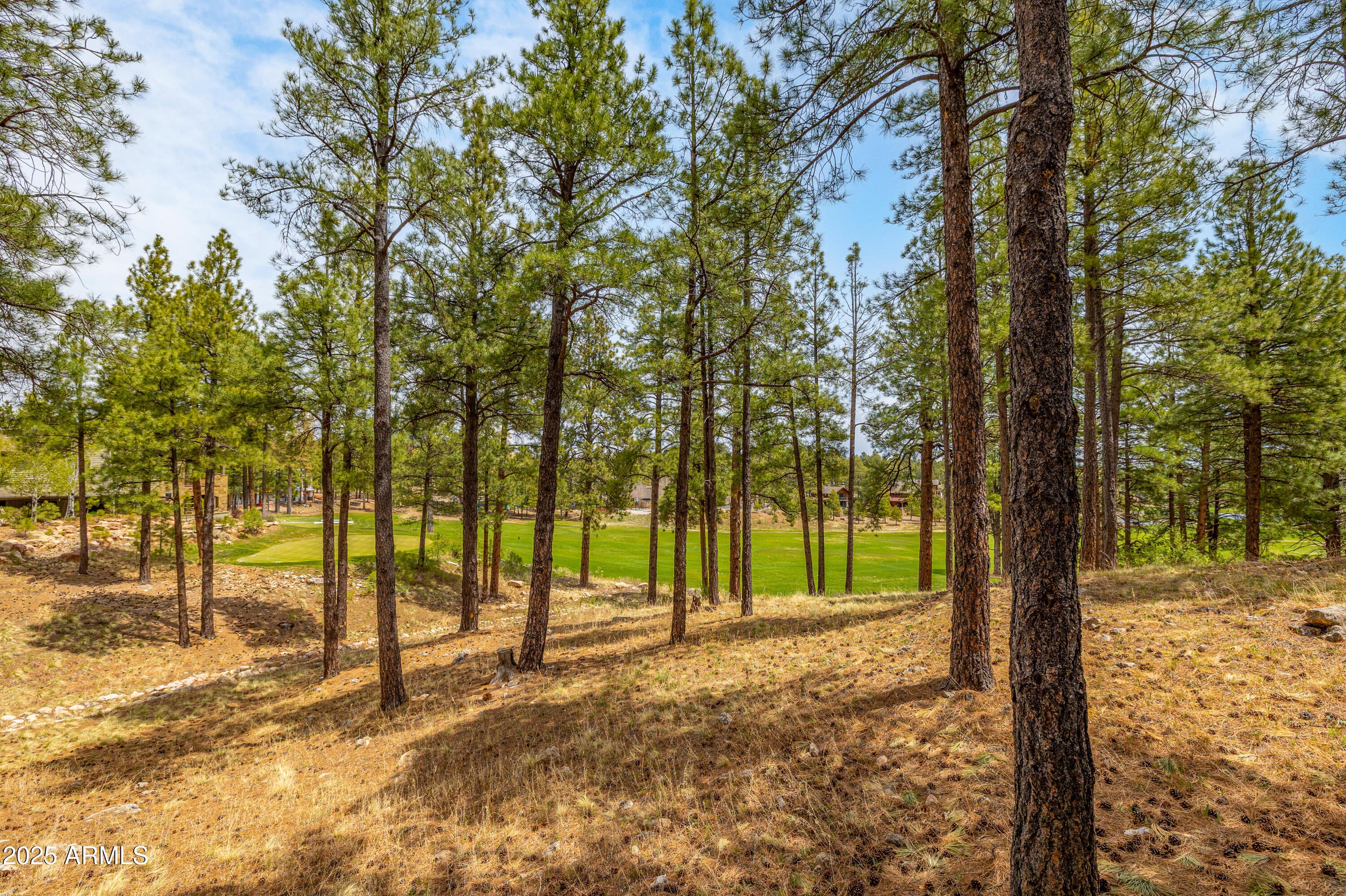 Flagstaff, Arizona, 86005, United States, 3 Bedrooms Bedrooms, ,2 BathroomsBathrooms,Residential,Active,1798236