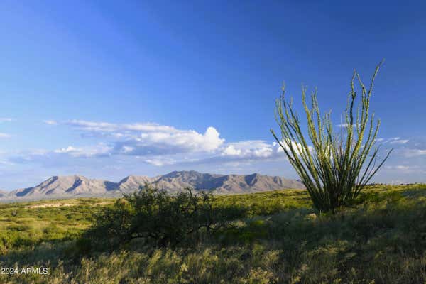 TBD E ADAMS RANCH ROAD # 003, DRAGOON, AZ 85609, photo 5 of 24