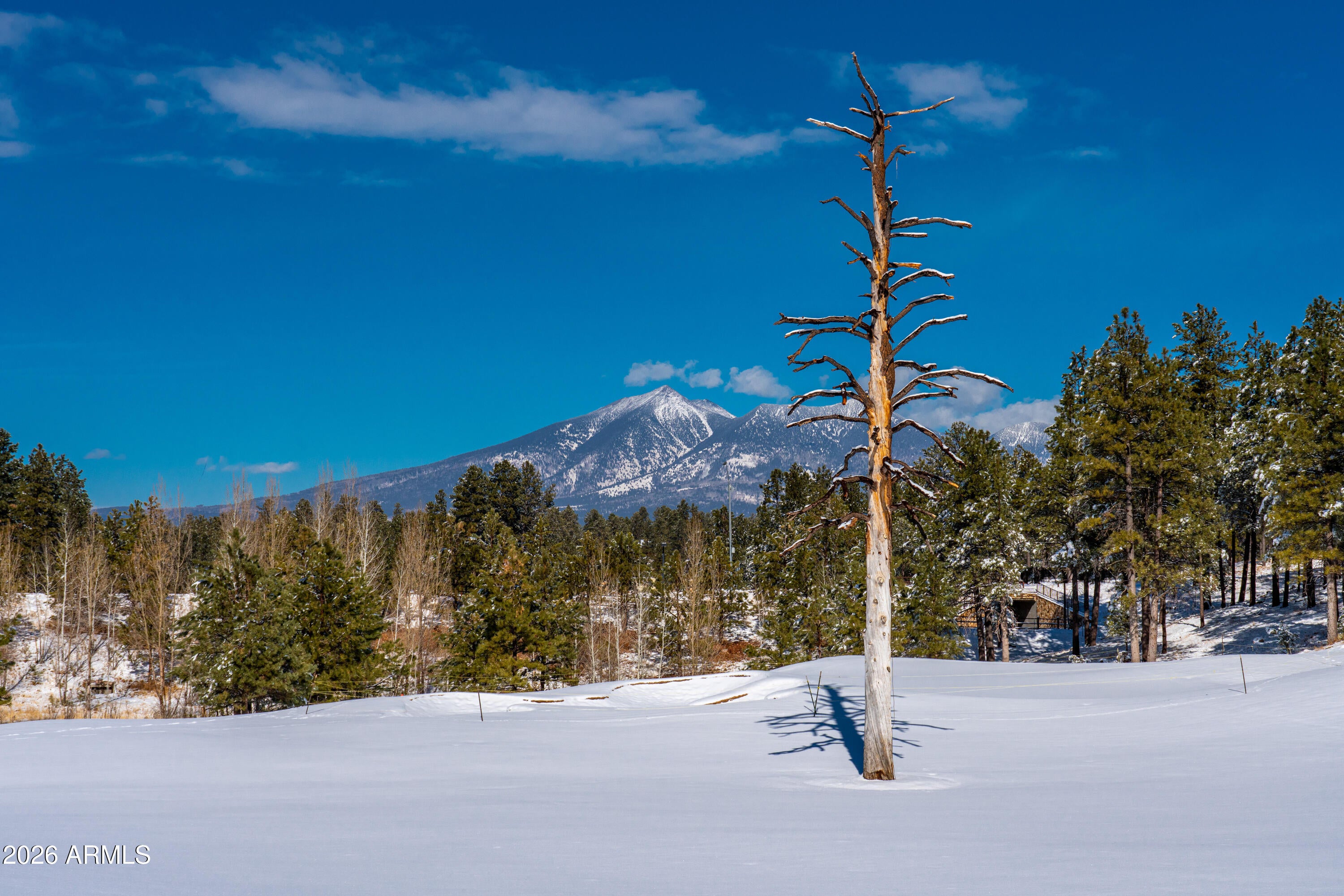 Flagstaff, Arizona, 86005, United States, 3 Bedrooms Bedrooms, ,4 BathroomsBathrooms,Residential,Active,2012811