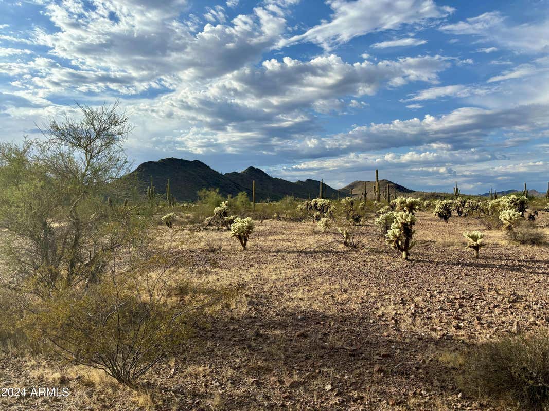 31299 W OLSEN # 156, WITTMANN, AZ 85361, photo 1 of 3