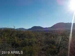 458 CAMINO OSITO # 11, RIO RICO, AZ 85648, photo 4 of 13