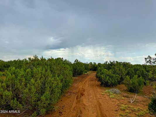 TBD REBEL YELL RD. 10 ACRES, SHOW LOW, AZ 85901 - Image 1