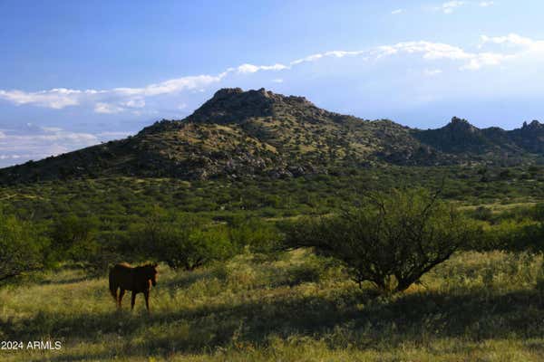 TBD E ADAMS RANCH ROAD # 003, DRAGOON, AZ 85609, photo 4 of 24