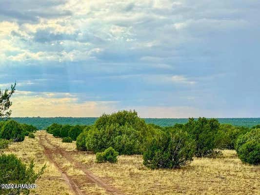 LOT F SILVER LAKE BLVD 48.86 ACRES, SHOW LOW, AZ 85901, photo 4 of 14