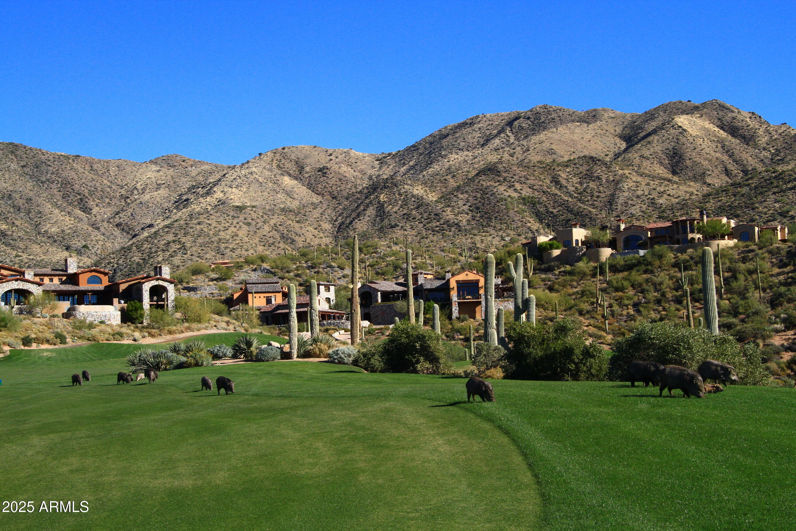 Scottsdale, Arizona, 85262, United States, 3 Bedrooms Bedrooms, ,4 BathroomsBathrooms,Residential,Active,1922527