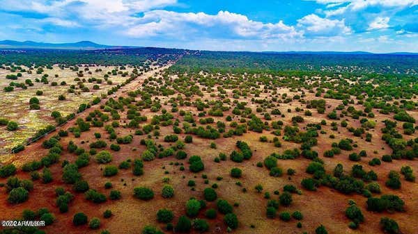 LOT F SILVER LAKE BLVD 48.86 ACRES, SHOW LOW, AZ 85901 - Image 1