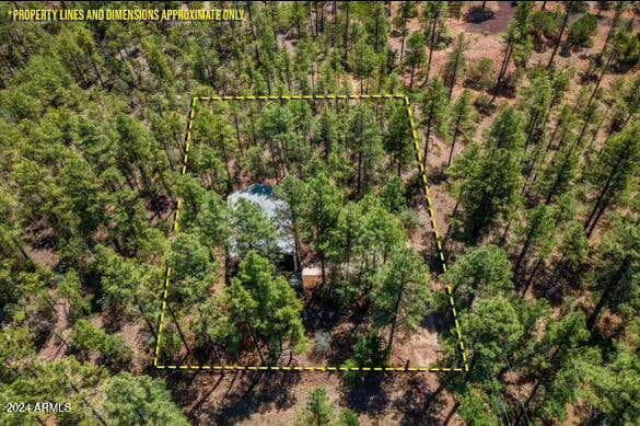 3207 S WHITE MOUNTAIN RD, SHOW LOW, AZ 85901 - Image 1