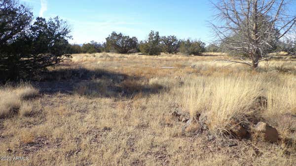 00 N TRACKSIDE TRAIL LANE # 211, ASH FORK, AZ 86320, photo 3 of 11