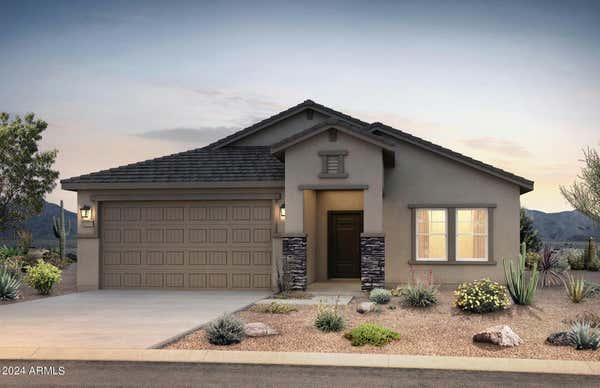 10842 W CHIPMAN RD, TOLLESON, AZ 85353 - Image 1