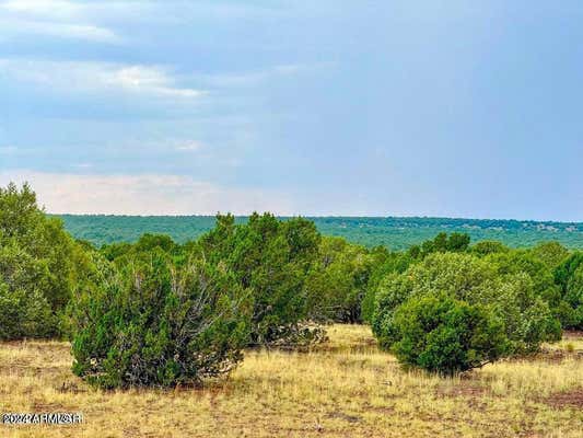 LOT G SILVER LAKE BLVD 40.77 A, SHOW LOW, AZ 85901 - Image 1