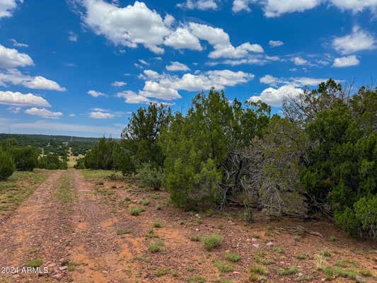 26 COUNTY ROAD 3048, CONCHO, AZ 85924 - Image 1