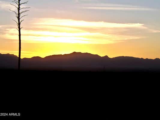 LOT E S DIRKSEN DRAW # E, TOMBSTONE, AZ 85638 - Image 1