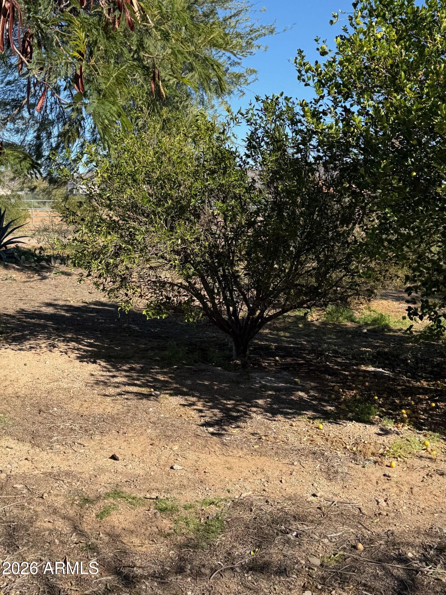 Surprise, Arizona, 85387, United States, 3 Bedrooms Bedrooms, ,2 BathroomsBathrooms,Residential,Active,2009173