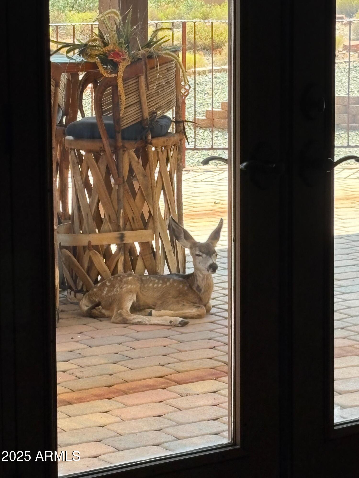 Sedona, Arizona, 86351, United States, 4 Bedrooms Bedrooms, ,4 BathroomsBathrooms,Residential,Active,1959511