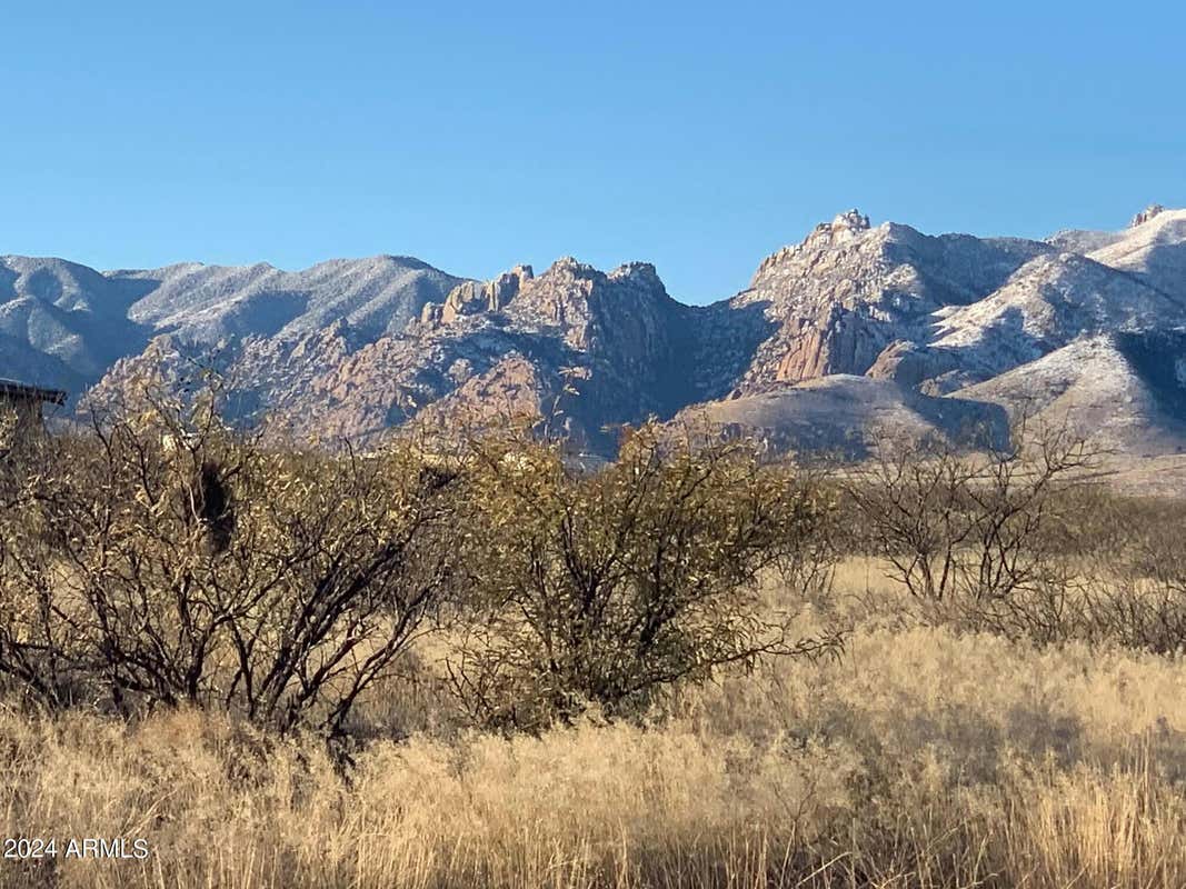 TBD109D W DOE RANCH ROAD # 25, PEARCE, AZ 85625, photo 1 of 3