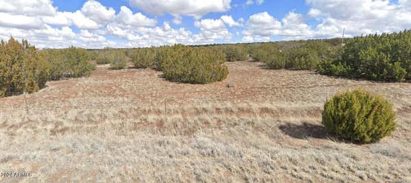 2405 BOURDON RANCH RD, SHOW LOW, AZ 85901, photo 3 of 3