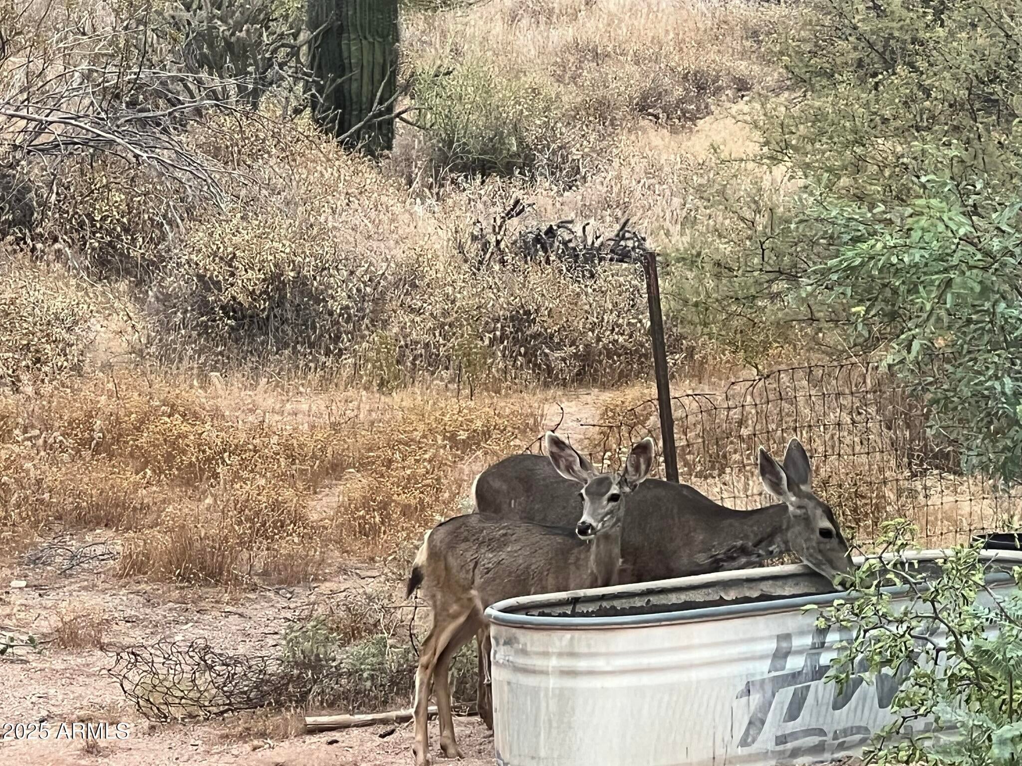 Scottsdale, Arizona, 85262, United States, 2 Bedrooms Bedrooms, ,2 BathroomsBathrooms,Residential,Active,2006982