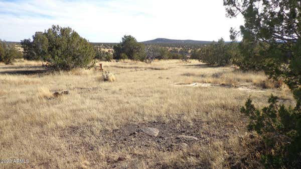 00 N TRACKSIDE TRAIL LANE # 211, ASH FORK, AZ 86320, photo 2 of 11