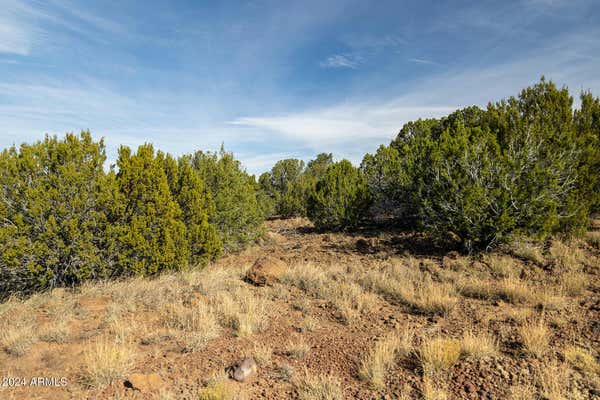 7 COUNTY ROAD 8111 # 673, CONCHO, AZ 85924 - Image 1