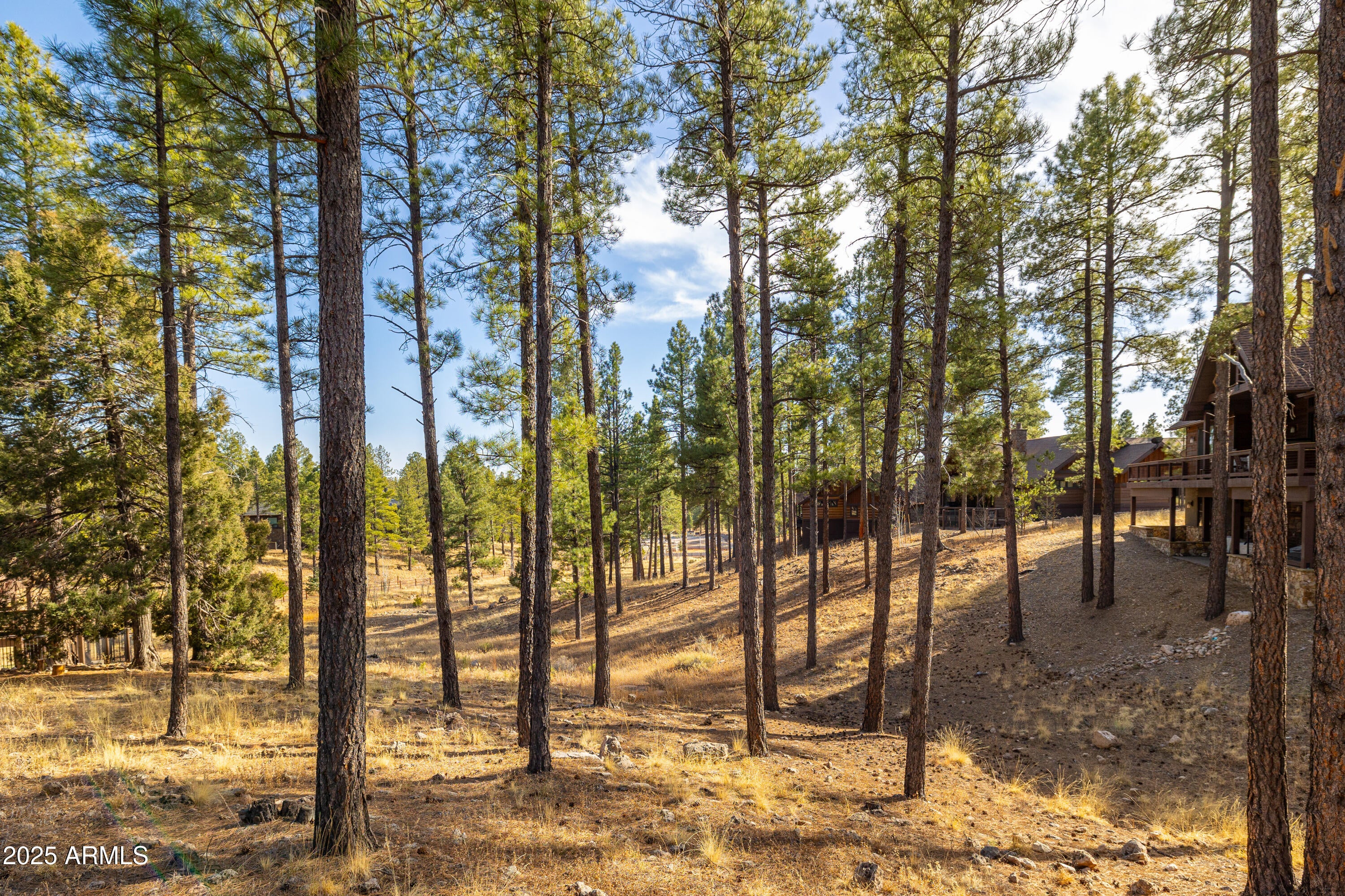 Flagstaff, Arizona, 86005, United States, 4 Bedrooms Bedrooms, ,5 BathroomsBathrooms,Residential,Active,2009813