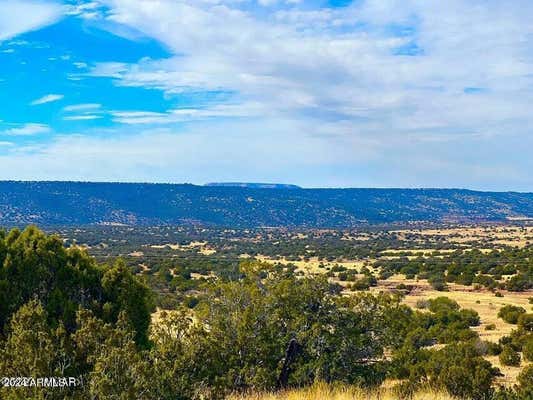 TBD CO RD 5062 2.39 ACRES, CONCHO, AZ 85924 - Image 1