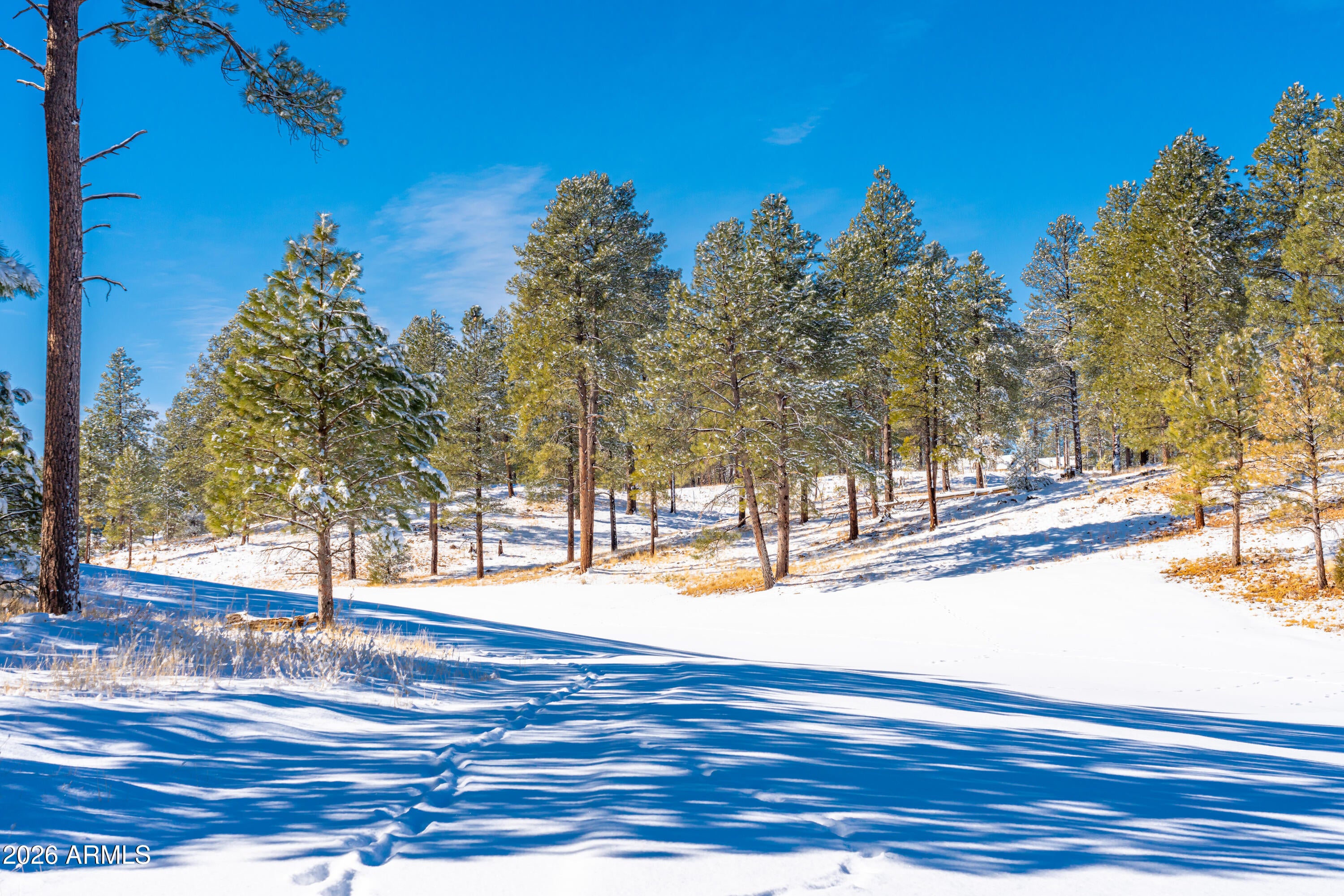 Flagstaff, Arizona, 86005, United States, 3 Bedrooms Bedrooms, ,4 BathroomsBathrooms,Residential,Active,2012811
