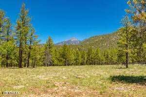 Flagstaff, Arizona, 86001, United States, 3 Bedrooms Bedrooms, ,4 BathroomsBathrooms,Residential,Active,2002669