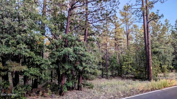 2095 S PINE LAKE RD, PINETOP, AZ 85935 - Image 1