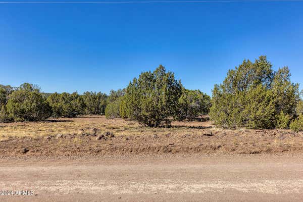 67 BURNS RD # 275, CONCHO, AZ 85924 - Image 1